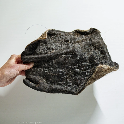 Plaque de peau de cheval - XL - X1 Visuel 1 principal